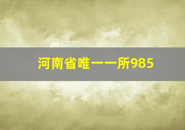 河南省唯一一所985