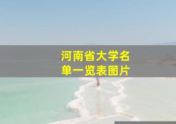 河南省大学名单一览表图片