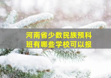 河南省少数民族预科班有哪些学校可以报