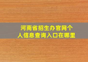 河南省招生办官网个人信息查询入口在哪里