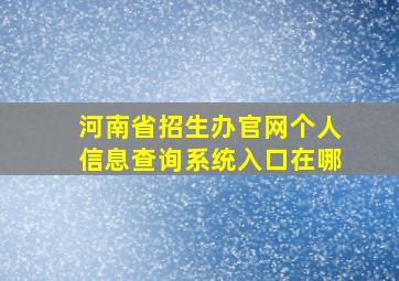 河南省招生办官网个人信息查询系统入口在哪