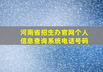 河南省招生办官网个人信息查询系统电话号码