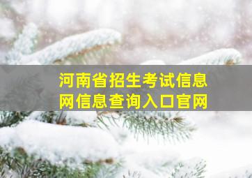 河南省招生考试信息网信息查询入口官网