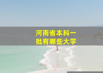 河南省本科一批有哪些大学