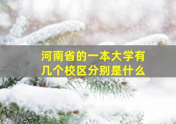 河南省的一本大学有几个校区分别是什么