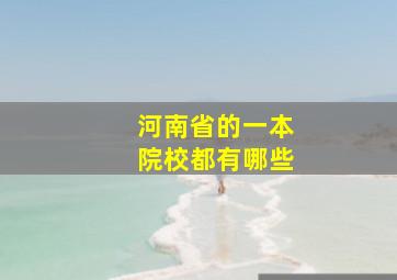 河南省的一本院校都有哪些