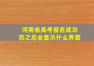 河南省高考报名成功完之后会显示什么界面