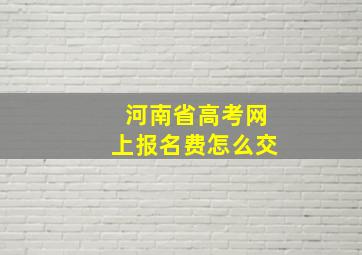 河南省高考网上报名费怎么交