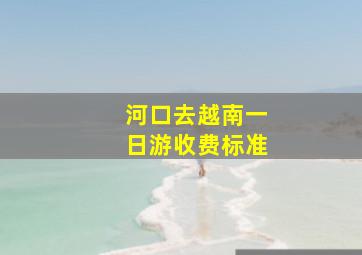 河口去越南一日游收费标准