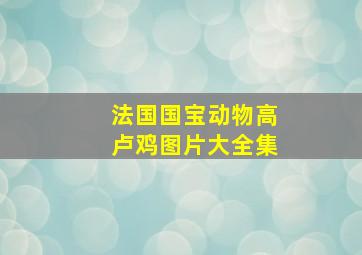 法国国宝动物高卢鸡图片大全集