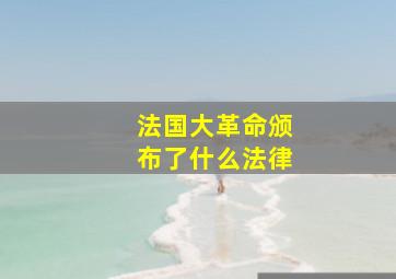 法国大革命颁布了什么法律