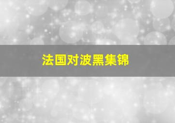 法国对波黑集锦