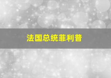 法国总统菲利普