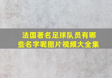 法国著名足球队员有哪些名字呢图片视频大全集