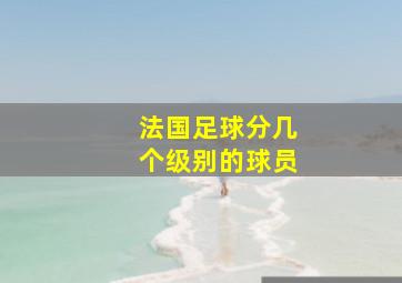 法国足球分几个级别的球员