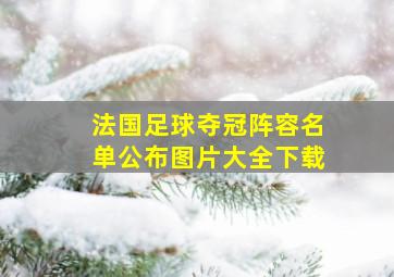 法国足球夺冠阵容名单公布图片大全下载