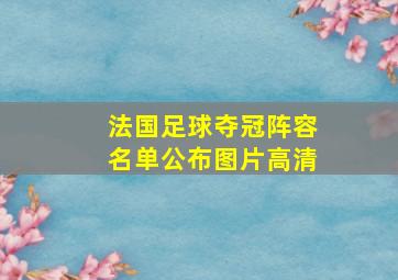 法国足球夺冠阵容名单公布图片高清