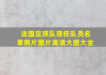 法国足球队现任队员名单照片图片高清大图大全