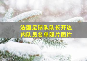 法国足球队队长齐达内队员名单照片图片