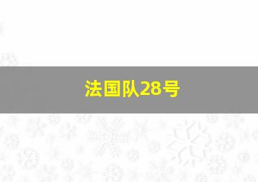 法国队28号