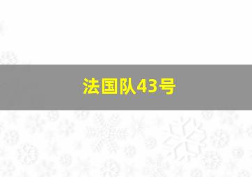 法国队43号