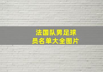 法国队男足球员名单大全图片