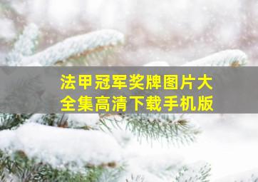 法甲冠军奖牌图片大全集高清下载手机版