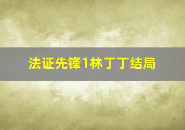 法证先锋1林丁丁结局