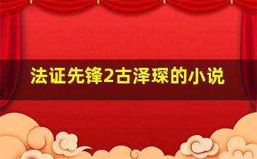 法证先锋2古泽琛的小说