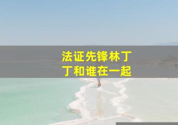 法证先锋林丁丁和谁在一起