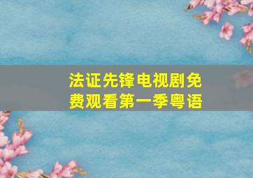 法证先锋电视剧免费观看第一季粤语