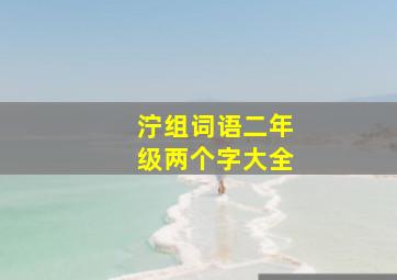 泞组词语二年级两个字大全