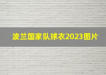 波兰国家队球衣2023图片