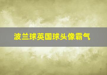 波兰球英国球头像霸气