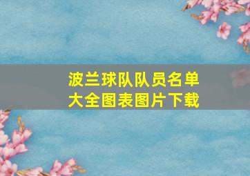 波兰球队队员名单大全图表图片下载