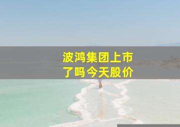 波鸿集团上市了吗今天股价