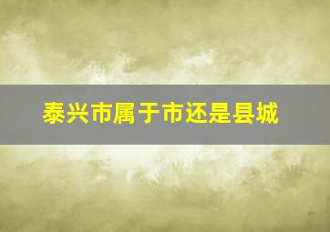 泰兴市属于市还是县城