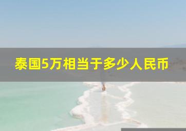 泰国5万相当于多少人民币