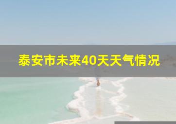 泰安市未来40天天气情况