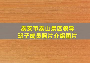 泰安市泰山景区领导班子成员照片介绍图片