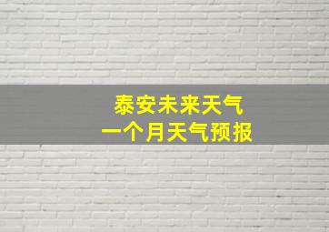 泰安未来天气一个月天气预报