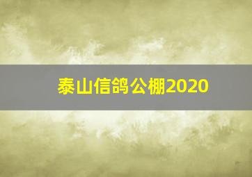 泰山信鸽公棚2020