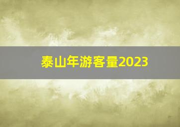 泰山年游客量2023