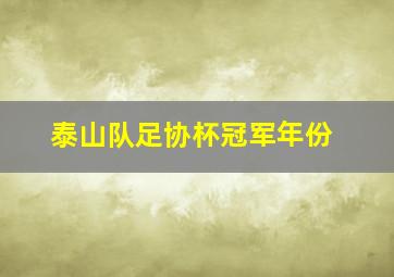 泰山队足协杯冠军年份