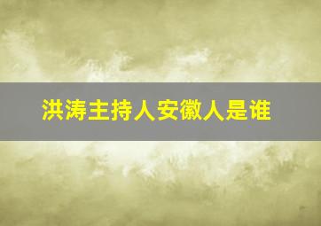 洪涛主持人安徽人是谁