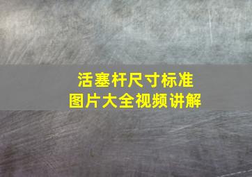 活塞杆尺寸标准图片大全视频讲解