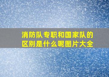 消防队专职和国家队的区别是什么呢图片大全