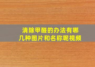 清除甲醛的办法有哪几种图片和名称呢视频