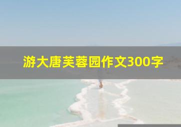 游大唐芙蓉园作文300字