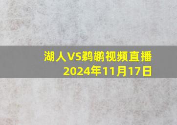 湖人VS鹈鹕视频直播2024年11月17日